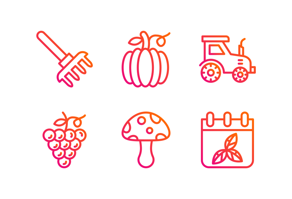 Autumn Large Set Preview