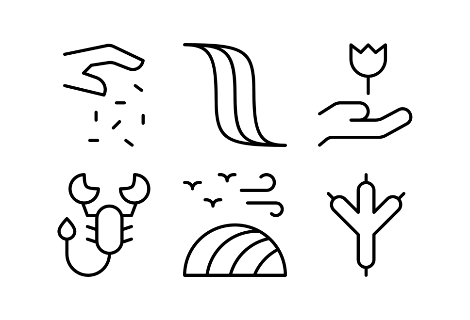 Growth Large Set Preview