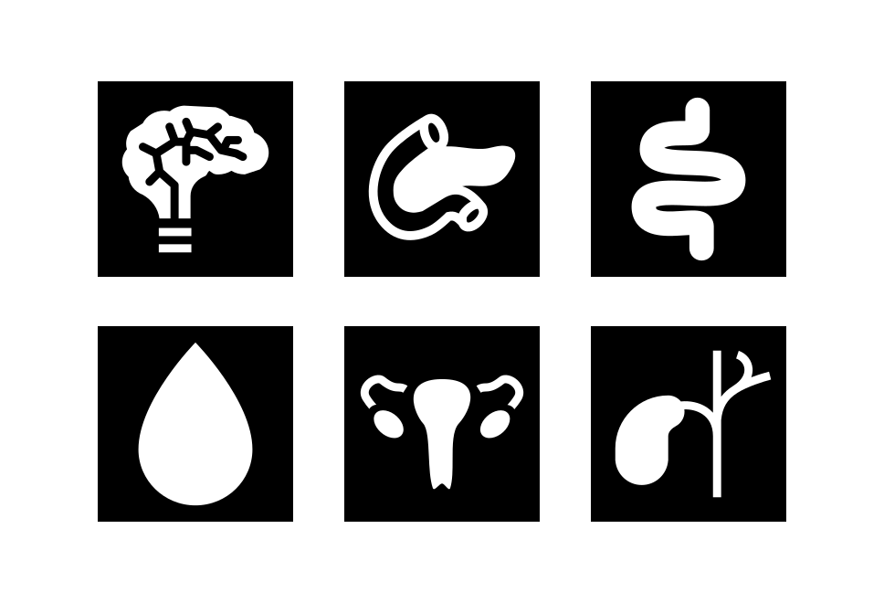 Body Set 1 Large Set Preview