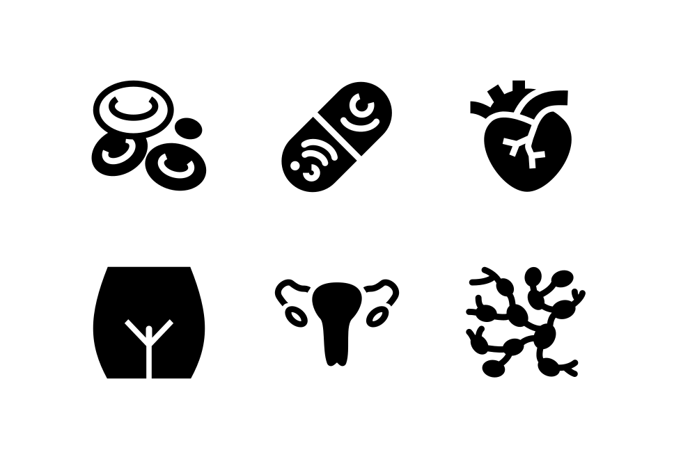 Body Set 1 Large Set Preview