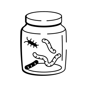 Insect Jar icon