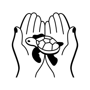 Pet Turtle icon